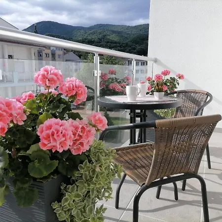 Svjetlanalex 2 아파트